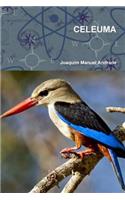 Celeuma