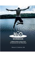 The H2O Workbook