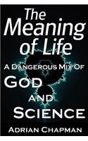 The Meaning of Life