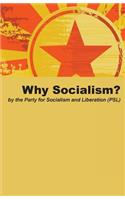 Why Socialism?