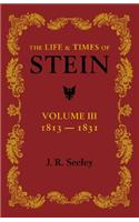 Life and Times of Stein: Volume 3