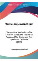 Studies In Sisyrinchium