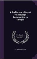 Preliminary Report on Drainage Reclamation in Georgia