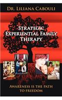 Strategic Experiential Family Therapy