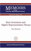 Knot Invariants and Higher Representation Theory