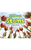 All about Stems