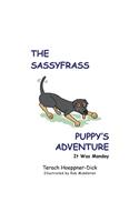 Sassyfrass Puppy's Adventure