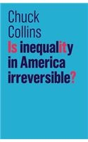 Is Inequality in America Irreversible?