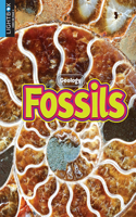 Fossils