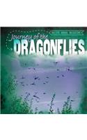 Journey of the Dragonflies