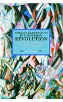 Working-Class Politics in the German Revolution