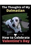 The Thoughts of My Dalmatian: How to Celebrate Valentine's Day
