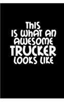 This is what an awesome trucker looks like