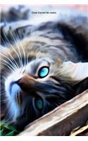 Chat Carnet de notes: Journal A5 ligné original de 119 pages- Une belle idée de cadeau pour les amoureux des animaux