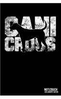 Canicross