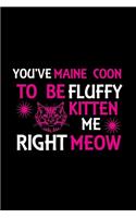 You've Maine Coon to be fluffy kitten me right meow