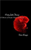 Pretty Little Things