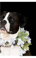 Beautiful Dog Notebook