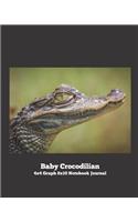 Baby Crocodilian 4x4 Graph 8x10 Notebook Journal
