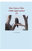 Once Upon a Time a Little Eaglet Named E9