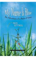 My Name Is Blue