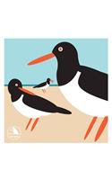 I Like Birds: Oyster Catcher Boxed Notecards