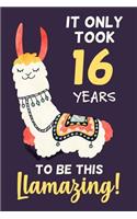 It Only Took 16 Years to Be This Llamazing!
