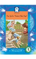 Pick-A-Woowoo: Have You Ever Wondered about Angels?