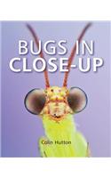 Bugs in Close-Up