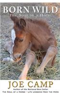 Born Wild - The Soul of a Horse