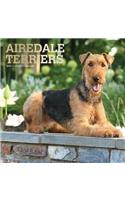 Airedale Terriers 2019 Square Foil