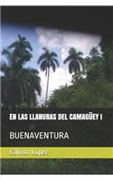 Las Llanuras del Camagüey I