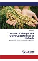 Current Challenges and Future Opportunities in Malaysia