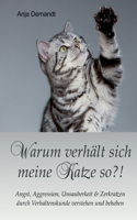 Warum verhält sich meine Katze so