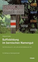 Suffixbildung Im Bernischen Namengut: Die Diminutiva Auf -Ti, -Elti, -Etli Und Die Kollektiva Auf -Ere