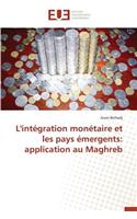 L'Intégration Monétaire Et Les Pays Émergents: Application Au Maghreb