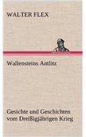 Wallensteins Antlitz