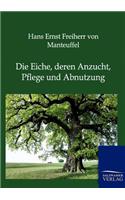 Die Eiche, deren Anzucht, Pflege und Abnutzung: (German)