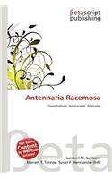 Antennaria Racemosa: (English)