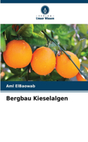 Bergbau Kieselalgen
