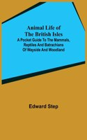 Animal Life of the British Isles; A Pocket Guide to the Mammals, Reptiles and Batrachians of Wayside and Woodland