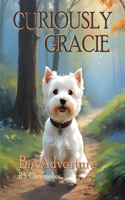 Curiously Gracie