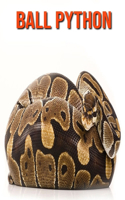 Ball Python: Incredible Pictures and Fun Facts about Ball Python