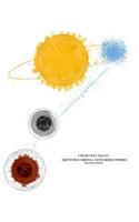 Erstwhile Orbits and Newformed Spheres