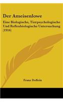 Der Ameisenlowe
