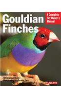 Gouldian Finches