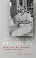 In the Shadow of Invisibility
