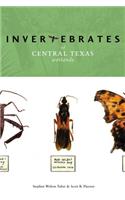 Invertebrates of Central Texas Wetlands