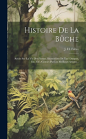 Histoire De La Bûche