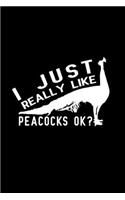 I Just Really Like Peacocks OK